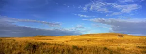 Abandoned House On The Prairies At Sunrise, Grasslands National Park, Saskatchewan Abandoned House On The Prairies At Sunrise, Grasslands National Park, Saskatchewan