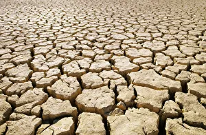Africa, Namibia, Detail Of Cracked Mud In Dry Lake Bed Africa, Namibia, Detail Of Cracked Mud In Dry Lake Bed