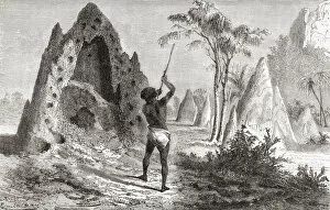 An African native inspects a warrior termite nest. The Warrior Termite (Macrotermes bellicosus)