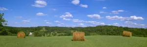 Agriculture - Dried round grass hay bales in the field with a barn in the distance Agriculture - Dried round grass hay bales in the field with a barn in the distance
