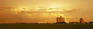 Agriculture - Grain elevators and an early growth corn field in late afternoon light / Johnson City, Kansas, USA Agriculture - Grain elevators and an early growth corn field in late afternoon light / Johnson City, Kansas, USA