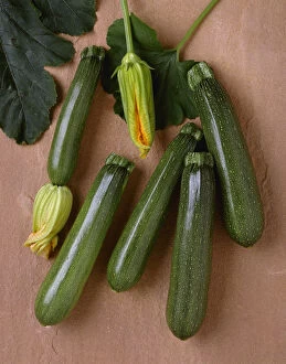 Agriculture - Green zucchini on a stone surface; variety Tigress, studio