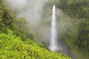 Akaka falls akaka falls state park hamakua coast; Big island hawaii united states of america Akaka falls akaka falls state park hamakua coast; Big island hawaii united states of america