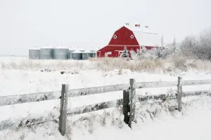 Alberta, Canada; Farm Yard With A Red Barn And Metal Grain Bins In Winter Alberta, Canada; Farm Yard With A Red Barn And Metal Grain Bins In Winter