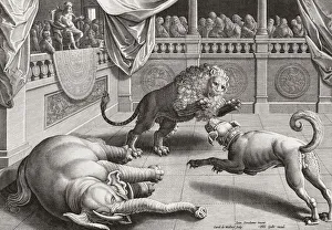 Alexander the Great watching animals fight. 16th century engraving after a work by Jan van der Straet, 1523- 1605 Alexander the Great watching animals fight. 16th century engraving after a work by Jan van der Straet, 1523- 1605