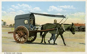 Archival color postcard of donkey cart with passenger, China, c 1910. (Photo by Allan Seiden) Archival color postcard of donkey cart with passenger, China, c 1910. (Photo by Allan Seiden)