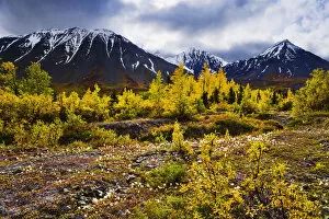 Images Dated 3rd September 2008: Artists Choice: Fall Colours And Auriol Range, Kluane National Park, Yukon