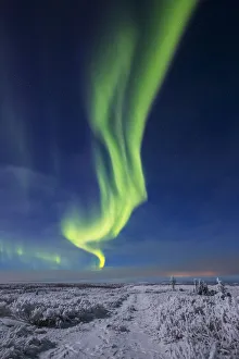The Aurora Borealis Shines Above An Atv Trail Covered In Snow, South Of Delta Junction; Alaska The Aurora Borealis Shines Above An Atv Trail Covered In Snow, South Of Delta Junction; Alaska