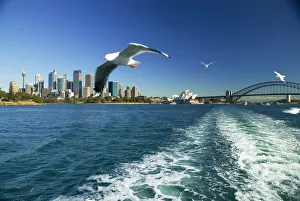 Australia, View of Sydney harbor from ferry; Sydney Australia, View of Sydney harbor from ferry; Sydney