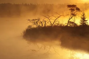 Autumn Morning Mist Glowing Yellow On Rocky Lake; Bedford, Nova Scotia, Canada Autumn Morning Mist Glowing Yellow On Rocky Lake; Bedford, Nova Scotia, Canada