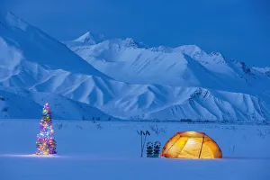 A Backpacking Tent Lit Up At Twilight With A Christmas Tree Next To It Alaska Range In The Distance In Winter Isabel A Backpacking Tent Lit Up At Twilight With A Christmas Tree Next To It Alaska Range In The Distance In Winter Isabel