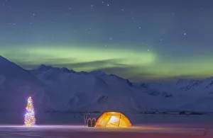 A Backpacking Tent Lit Up At Twilight With A Christmas Tree Next To It, Alaska Range In The Distance In Winter A Backpacking Tent Lit Up At Twilight With A Christmas Tree Next To It, Alaska Range In The Distance In Winter