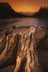 Banff, Alberta, Canada; Driftwood And A Mountain River At Sunset Banff, Alberta, Canada; Driftwood And A Mountain River At Sunset