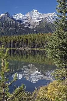 Images Dated 11th September 2008: Banff National Park, Alberta, Canada; Reflection Of A Mountain In Herbert Lake