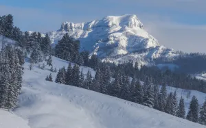 Barronette Peak in the Absaroka Range on a sunny winter day, Yellowstone National Park; Wyoming, USA Barronette Peak in the Absaroka Range on a sunny winter day, Yellowstone National Park; Wyoming, USA