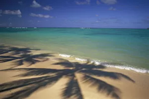 Images Dated 26th September 2001: Beach Shoreline With Palm Tree Shadows, Calm Turquoise Ocean Horizon