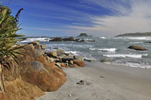 Beach with Stones, Cape Foulwind, Westport, South Island, West Coast-Tasman, New Zealand Beach with Stones, Cape Foulwind, Westport, South Island, West Coast-Tasman, New Zealand