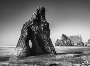 Black and white image of sea stacks and Abbey Island at Ruby Beach in the Olympic National Park Black and white image of sea stacks and Abbey Island at Ruby Beach in the Olympic National Park