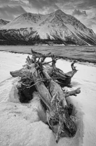 Black And White Version Of Kathleen Lake At Sunrise, Kluane National Park, Yukon Black And White Version Of Kathleen Lake At Sunrise, Kluane National Park, Yukon