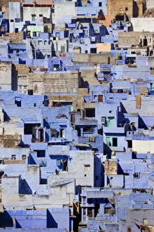 Blue Buildings Of Jodhpur, Aerial View