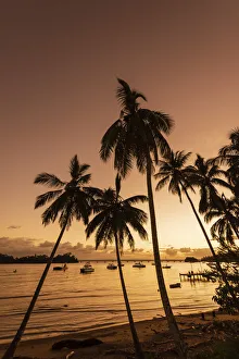 Boats moored in Samana Bay along the beach with palms at sunset, Dominican Republic, Caribbean Boats moored in Samana Bay along the beach with palms at sunset, Dominican Republic, Caribbean