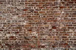 Images Dated 1st December 2008: Brick Wall
