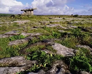 Images Dated 28th March 2007: The Burren, Portal Dolmen, Co. Clare, Ireland