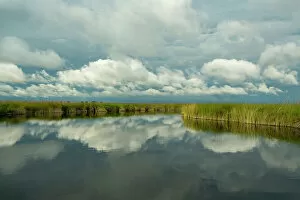 High Res Gallery: A channel in the Okavango Delta during the wet season