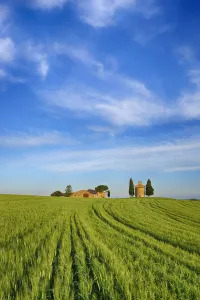 Chapel of Vitaleta and Farmhouse with Cypress Trees in green field. Chapel of Vitaleta, Val dŽOrcia, Siena Province Chapel of Vitaleta and Farmhouse with Cypress Trees in green field. Chapel of Vitaleta, Val dŽOrcia, Siena Province