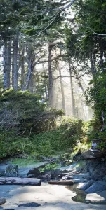 Chesterman Beach; Vancouver Island, British Columbia, Canada Chesterman Beach; Vancouver Island, British Columbia, Canada