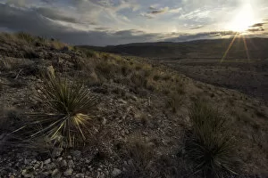 Nature and Landscapes Gallery: The Chihuahuan Desert in the Guadalupe Mountains of southern New Mexico