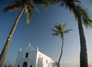 Church Of Santo Antonio Beneath Palm Trees, Low Angle View Church Of Santo Antonio Beneath Palm Trees, Low Angle View