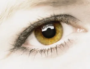Images Dated 17th January 2005: Close Up Of Eye
