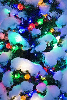 Close Up Of A Multi-Colored Christmas Tree Lit At Dusk Outside In Winter