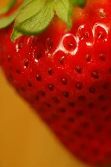 Images Dated 13th February 2005: Close Up Of A Strawberry