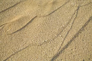 Images Dated 29th October 2006: Close-Up Of Patterns In Sand