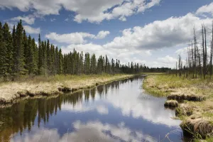Clouds Reflected In A Tranquil River Lined With Trees; Thunder Bay, Ontario, Canada Clouds Reflected In A Tranquil River Lined With Trees; Thunder Bay, Ontario, Canada