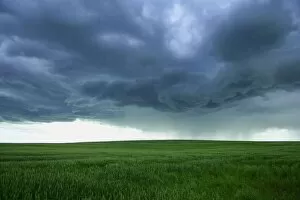 Images Dated 21st July 2005: A Cloudy Sky Over A Field, Alberta, Canada