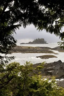 Coastal Scenery, Tofino, British Columbia, Canada Coastal Scenery, Tofino, British Columbia, Canada
