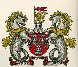 Coat of arms, Newcastle-on-Tyne, England. From The Business Encyclopaedia and Legal Adviser, published 1907 Coat of arms, Newcastle-on-Tyne, England. From The Business Encyclopaedia and Legal Adviser, published 1907