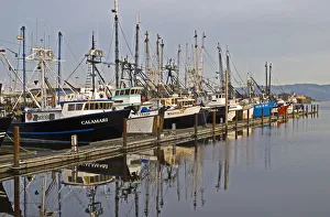 Commercial Fishing Boats Dock In The Warrenton Boat Mooring Basin On The Columbia River; Warrenton, Oregon Commercial Fishing Boats Dock In The Warrenton Boat Mooring Basin On The Columbia River; Warrenton, Oregon