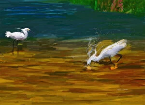 Computer Generated Image Of Bird Wading And Drinking In Shallow Water