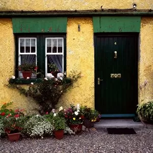 Bloomed Gallery: Cottage At Bushmills, Co Antrim, Ireland