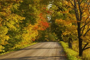 Country Road In Autumn; West Bolton, Quebec, Canada Country Road In Autumn; West Bolton, Quebec, Canada