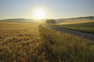 Country Road and Wheat Fields, Hettstadt, Wurzburg District, Franconia, Bavaria, Germany Country Road and Wheat Fields, Hettstadt, Wurzburg District, Franconia, Bavaria, Germany