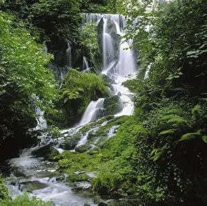 Crawfordsburn Country Park, Co Down, Ireland; Waterfall Crawfordsburn Country Park, Co Down, Ireland; Waterfall
