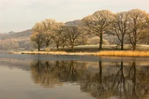 Cumbria, England; Lake Scenic With Autumn Trees Reflected In Water Cumbria, England; Lake Scenic With Autumn Trees Reflected In Water