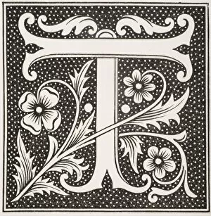 Images Dated 28th March 2006: Decorative Capital Letter T