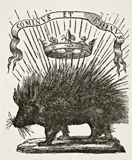 Device Of Louis Xii, King Of France, 1498-1515. A Porcupine With The Motto Cominus Et Eminus, From Far And Near Device Of Louis Xii, King Of France, 1498-1515. A Porcupine With The Motto Cominus Et Eminus, From Far And Near