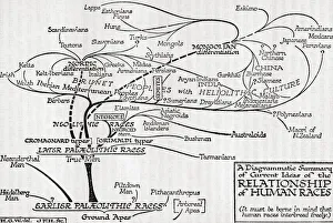 Mapmaking Gallery: A diagrammatic summary of current ideas of the relationship of human races